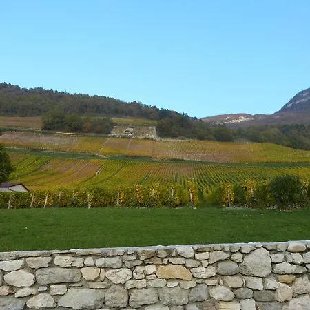 La Maison Des Vignes