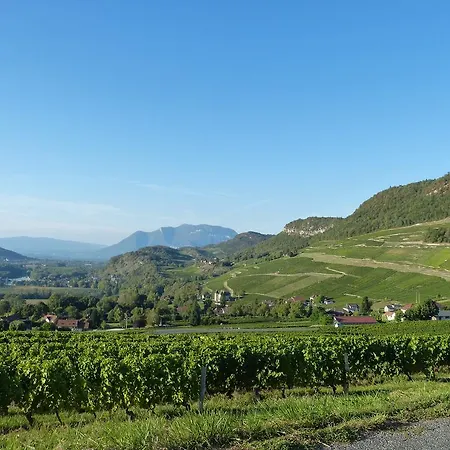 Casa de Férias La Maison Des Vignes